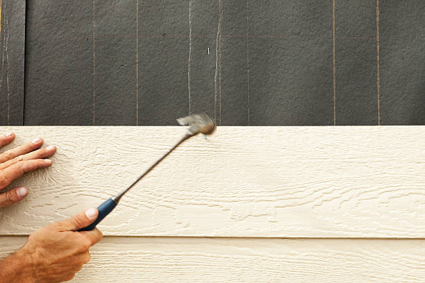 Best Vinyl Siding Installation  in Villa Rica, GA